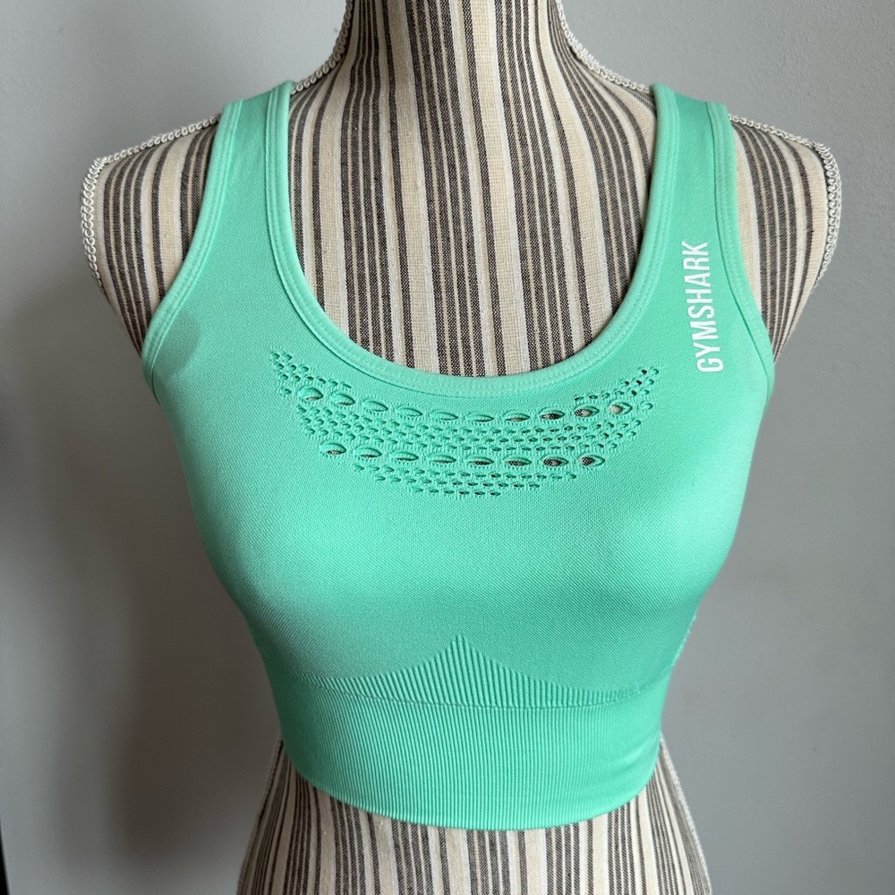Gymshark Energy Seamless Crop Top( size xs)